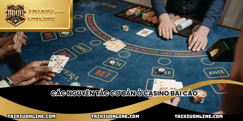 Các nguyên tắc cơ bản ở casino bài cào