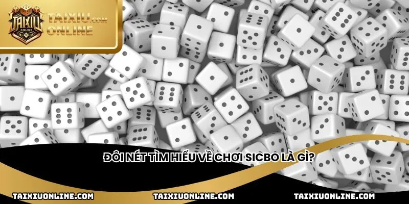 Đôi nét tìm hiểu về chơi sicbo là gì?