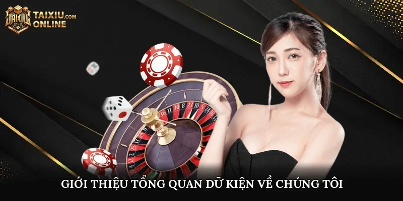 Giới thiệu tổng quan dữ kiện về chúng tôi