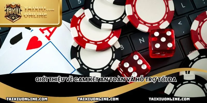 Giới thiệu về cam kết an toàn và hỗ trợ tối đa