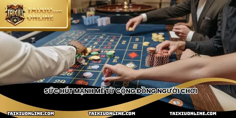 Sức hút mạnh mẽ từ cộng đồng người chơi