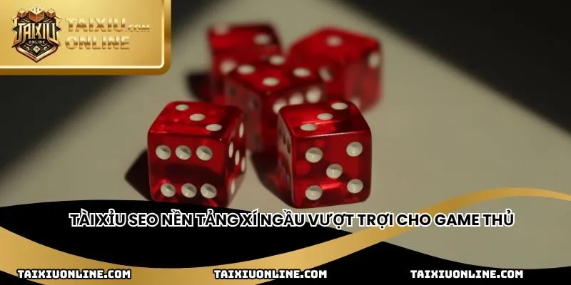 Tài xỉu Seo nền tảng xí ngầu vượt trợi cho game thủ