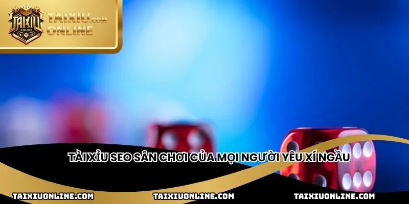Tài xỉu Seo sân chơi của mọi người yêu xí ngầu