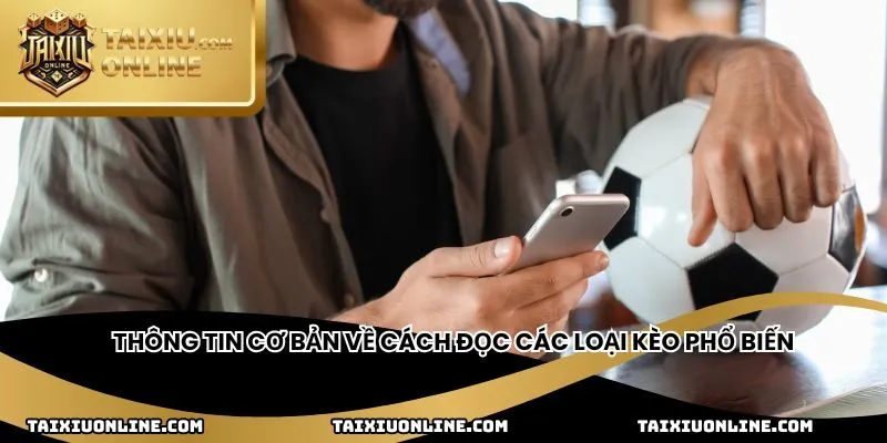 Thông tin cơ bản về cách đọc các loại kèo phổ biến