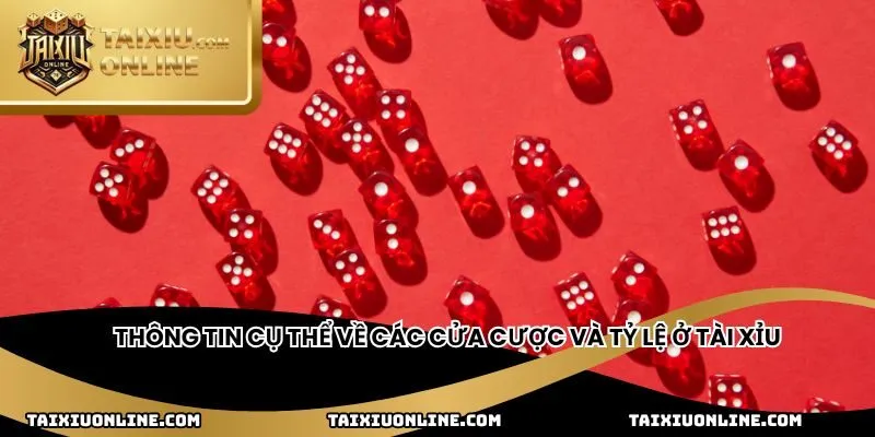 Thông tin cụ thể về các cửa cược và tỷ lệ ở tài xỉu